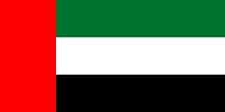 Middle East Flag
